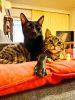 Betty & Chloe 2